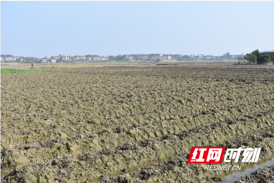 安仁县安平镇上街居委会:奏响土地流转"三部曲"