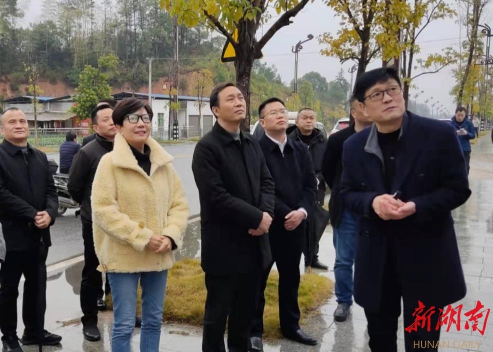 戴新贤在听取工作汇报后,高度评价了衡山湘梦智慧谷项目的发展模式和