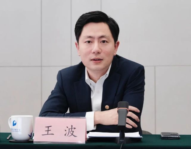 保利文化集团股份有限公司党委书记,董事,总经理王波保利文化集团股份