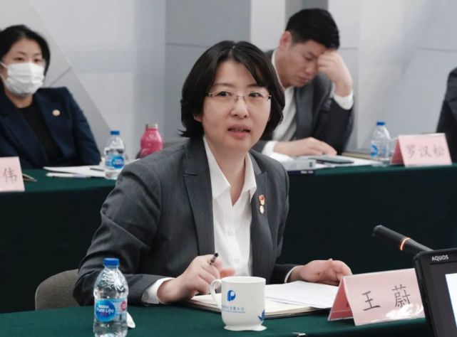 副书记,北京保利拍卖董事长蒋迎春保利文化集团股份有限公司副董事长