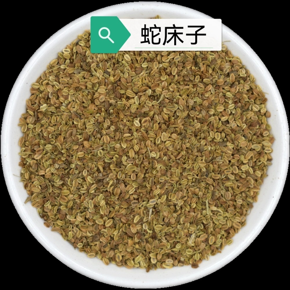 中药古今研究蛇床子2