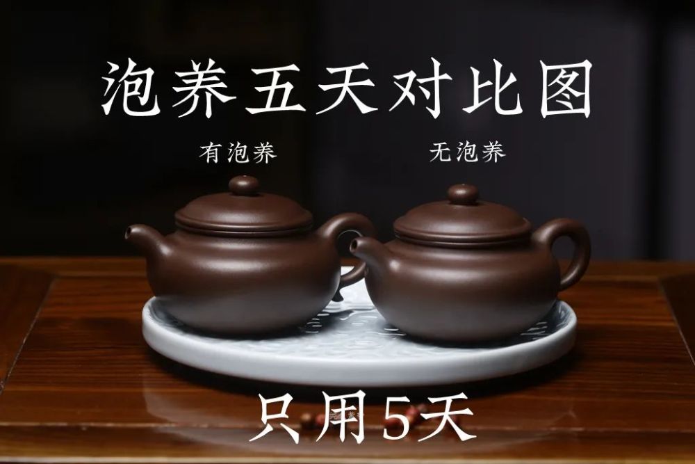 泡養紫砂壺,並不是多難的事,在精心養護之後,不見包漿的端倪,只能是壺