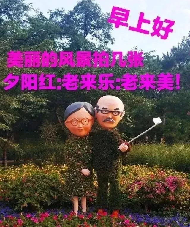 冬天早上好中老年祝福表情包寒潮来袭及时添加衣裳