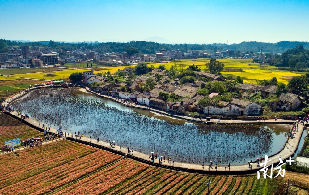 河源传统村落探访 连平县大湖镇湖东村:古民居古桥古塔交相辉映逾800