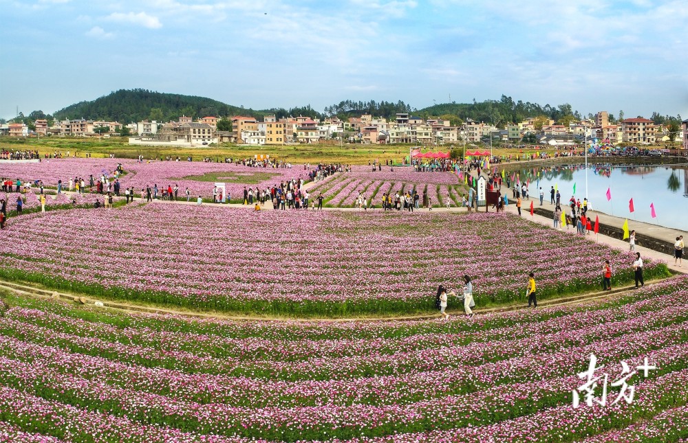 河源传统村落探访连平县大湖镇湖东村古民居古桥古塔交相辉映逾800年