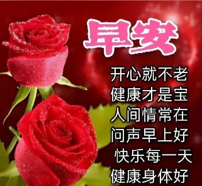 清晨祝福早上好问候语