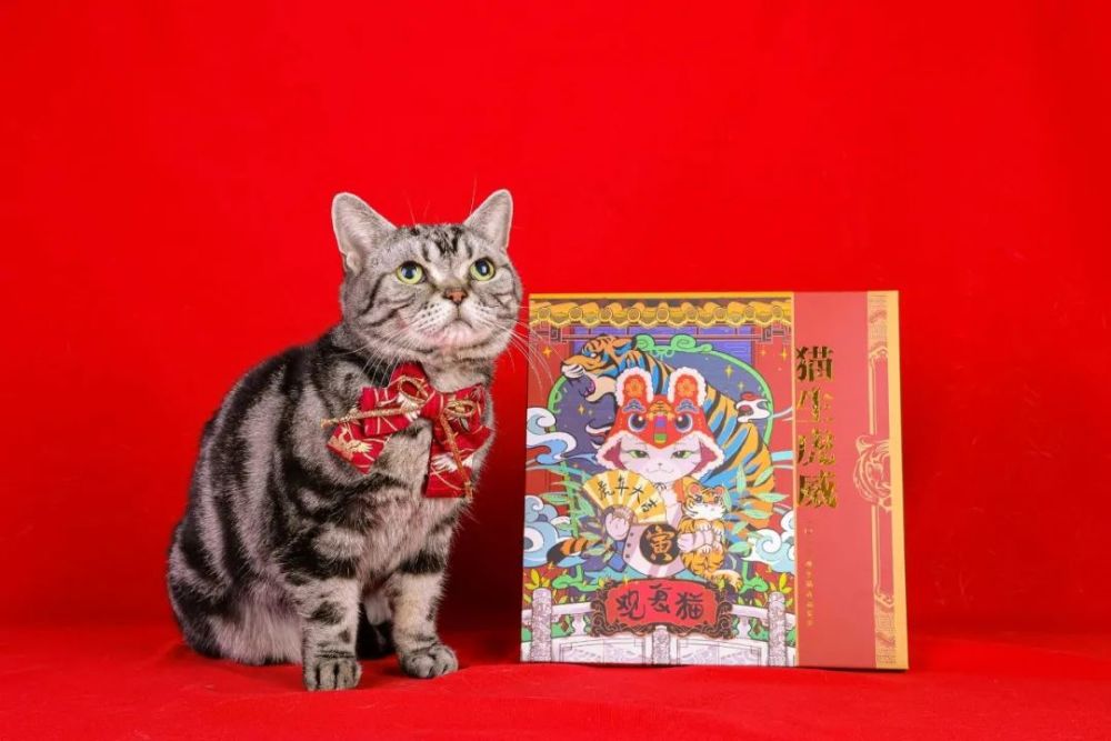 春节将至观复猫又来拍了拍你