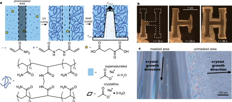 哈佛大学nature子刊又一篇聚丙烯酰胺水凝胶