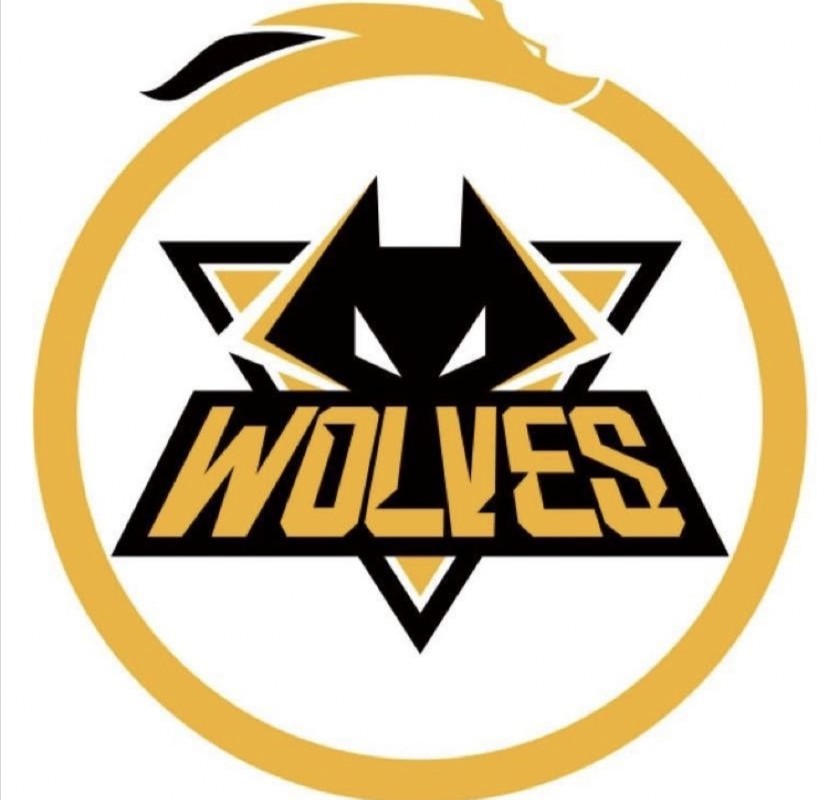 瓶子透露kpl各战队转会信息ag主力不变动梓墨等五人成热门选手