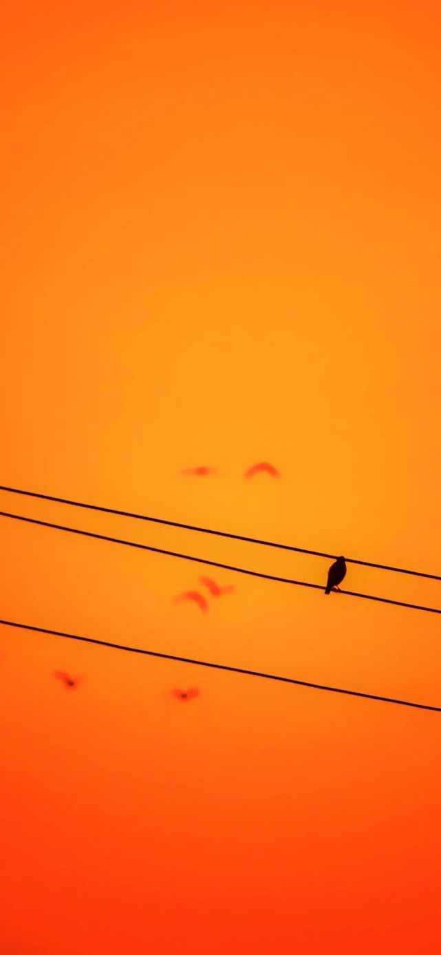 ins橙色系壁纸