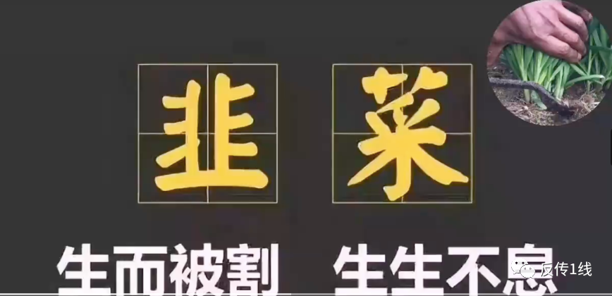 11月崩盘、跑路、刚刚上线的最新101个互联网项目平台（含杀猪盘）