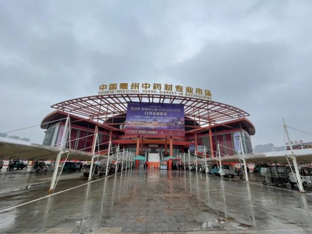 中药股暴涨行情能否持续记者实探亳州中药材市场