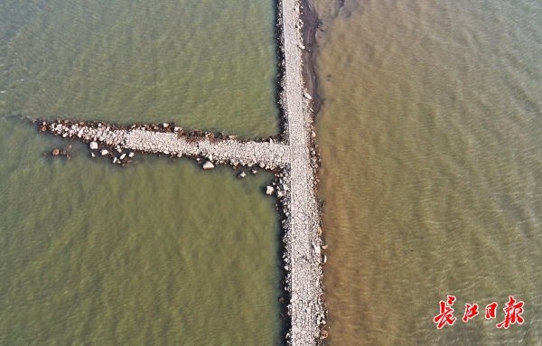 江心丁字坝长江新景观