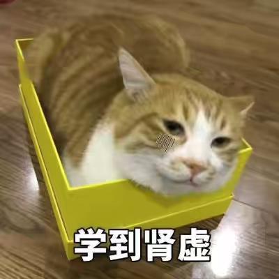 猫咪期末学习表情包 肩负学业重担,变得郁郁寡欢