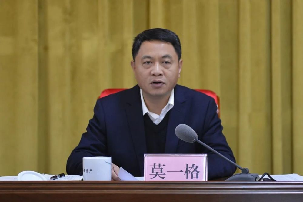 会议最后,副市长,市联席会议总召集人,市公安局党委书记,局长莫一格作