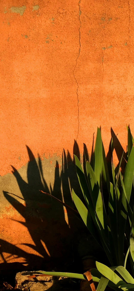 橙色调风景图片手机壁纸