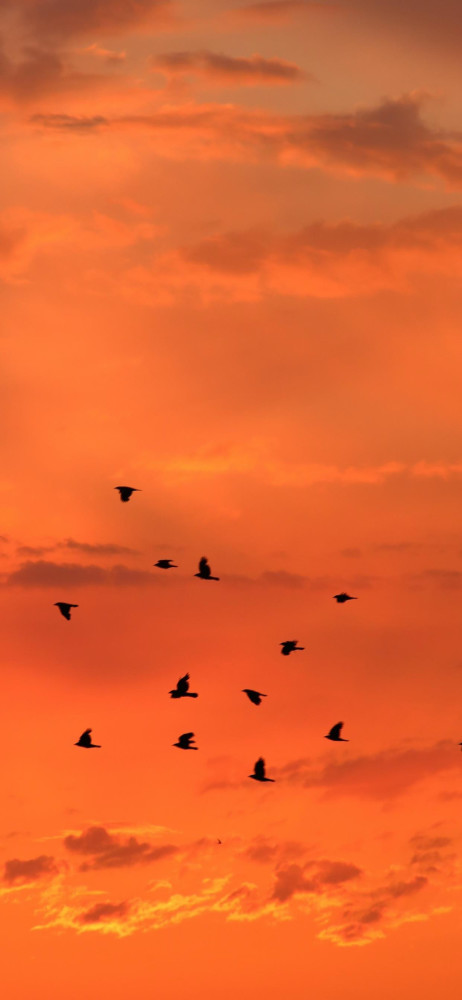 橙色调风景图片手机壁纸