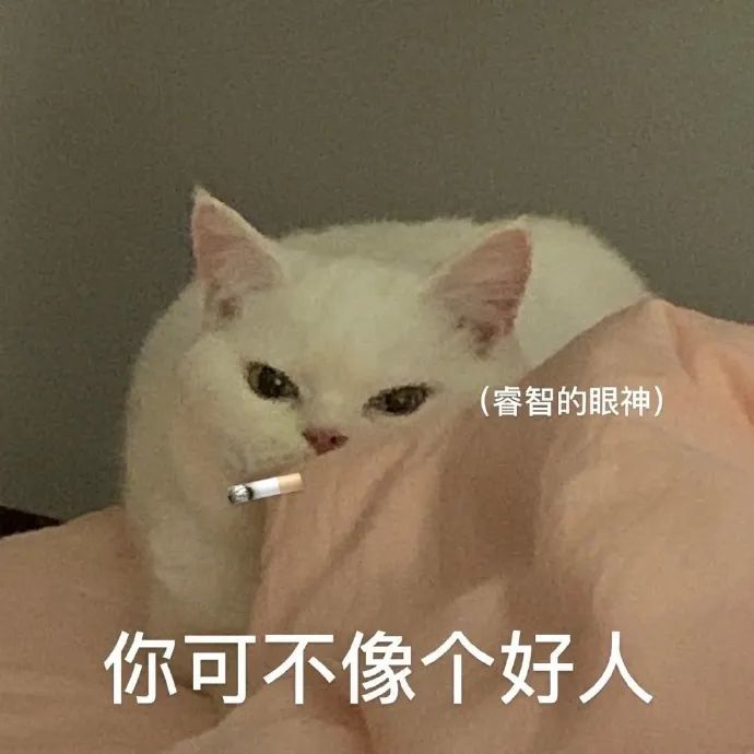 表情包你可不像个好人