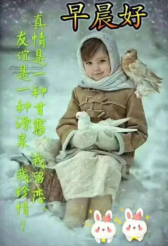 早上好图片带字带祝福语免打字聊天的冬日清晨早安问候祝福语图片文字