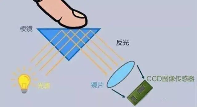 发出光线照亮指纹区域,而后光线反射透过屏幕像素回到屏下的传感器上