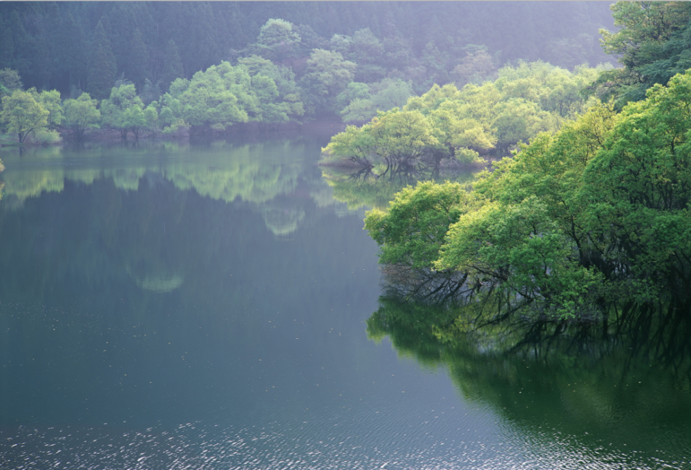 广州增城大丰门风景区图片