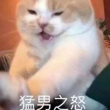 表情包猛男之怒