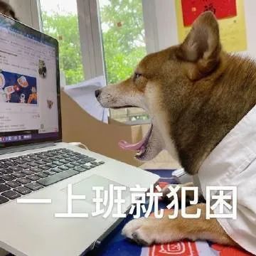 表情包:一上班就犯困