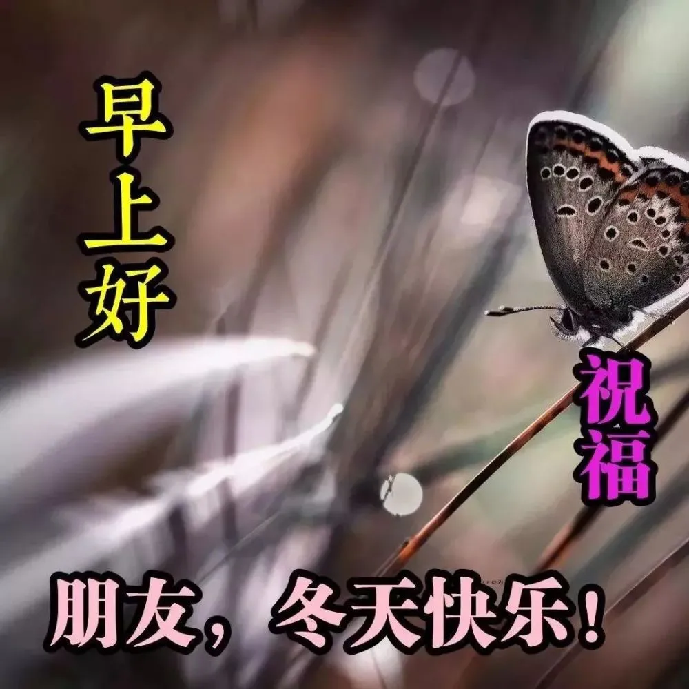 下午好朋友冬天快乐