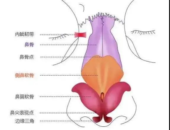 可能外观看着还问题不大,但里面的瘢痕,组织结构混乱,甚至组织缺失