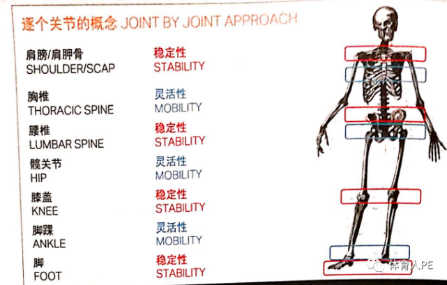 灵活性和稳定性矛盾的对立统一