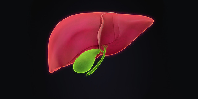 919]胆固醇性胆结石患者和易患胆结石的小鼠的肠道菌群中,脱硫弧菌目