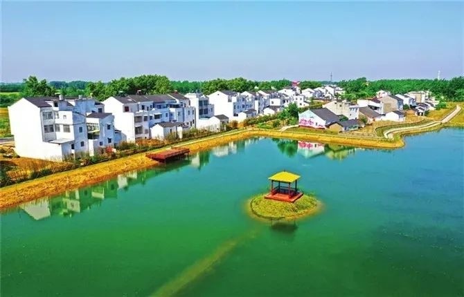 陈场镇丰实垸村三伏潭镇彭桥村通海口镇桂花台村张沟镇杨桥村杨林尾镇