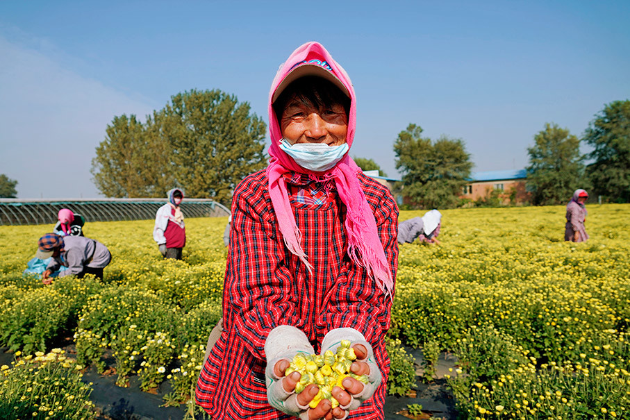 回眸2021我们的获得感老上访村的新面貌