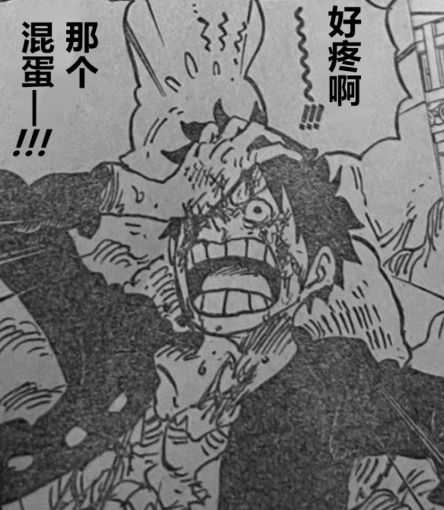 One Piece 1037 Words Luffy Ate Kaido S Big Move Only Shouted Good Pain Fans He Pretended Laitimes