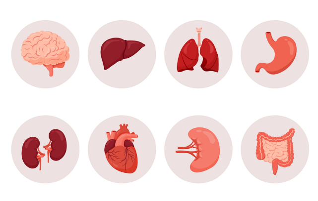 食补中的"五色"养五脏,你了解吗?