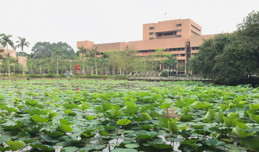 你好,五邑大學!_騰訊新聞