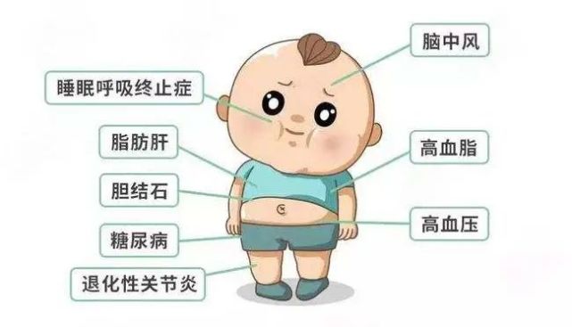 如何预防"小胖墩"?|儿童|肥胖|营养素
