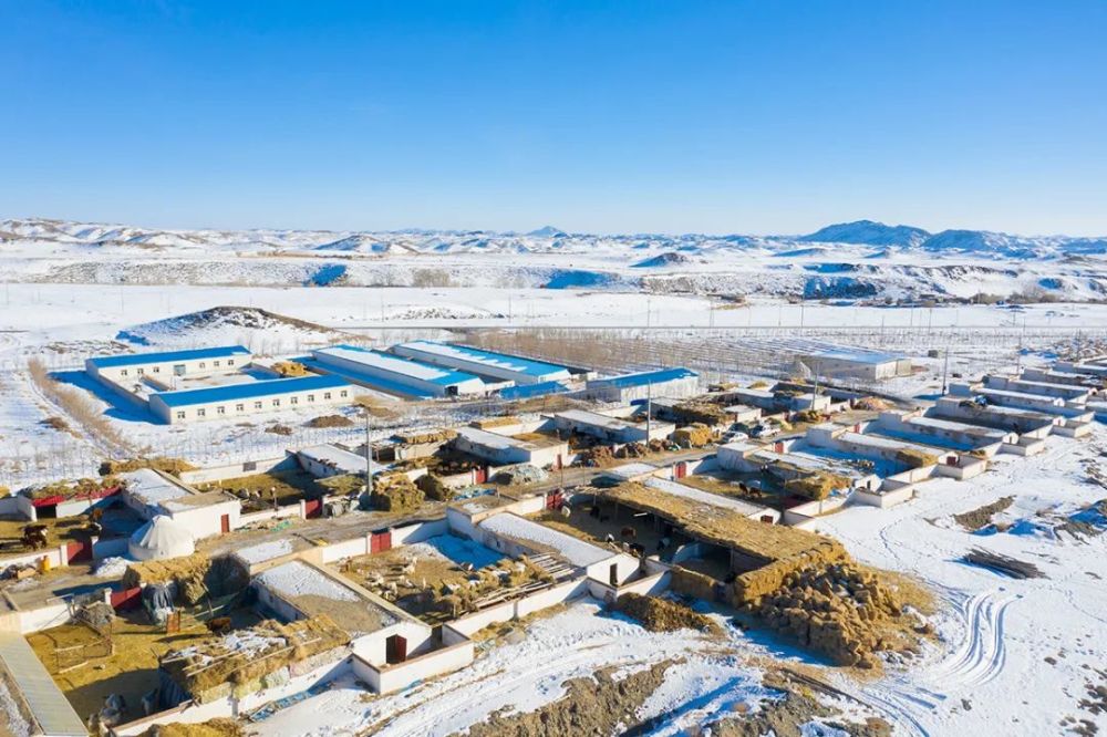 【我为群众办实事】"实"字做起 "办"字发力 抵达