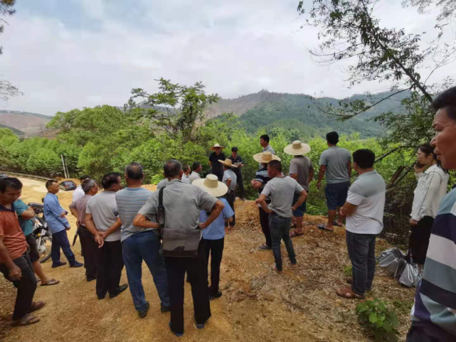 博白县|排水沟|东平镇|交运局|华村|历史遗留问题|涵洞|下江|王铮