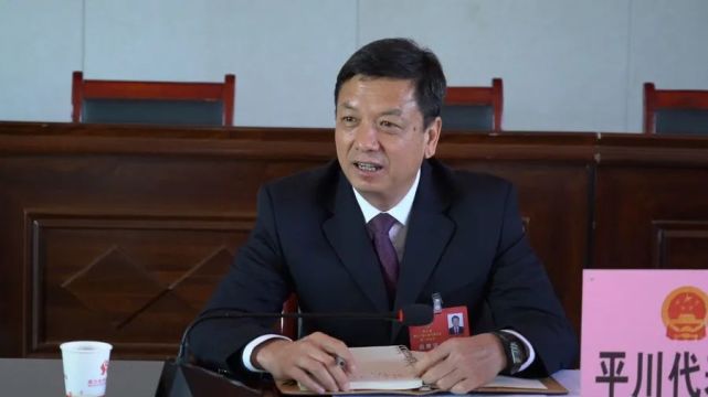 聚焦两会杨泽亮参加平川代表团讨论时强调忠诚履职行好权服务为民促