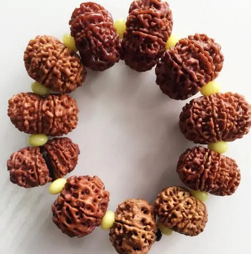 多瓣金刚菩提到底值不值得收藏?这些事情你必须提前想明白!