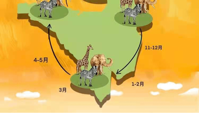 动物大迁徙的动画片图片