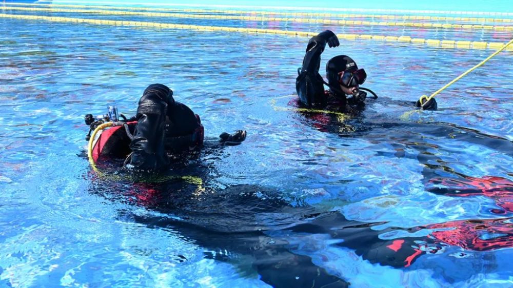 蛙人出击|特种救援大队冬季潜水提升水下救援能力_腾讯新闻