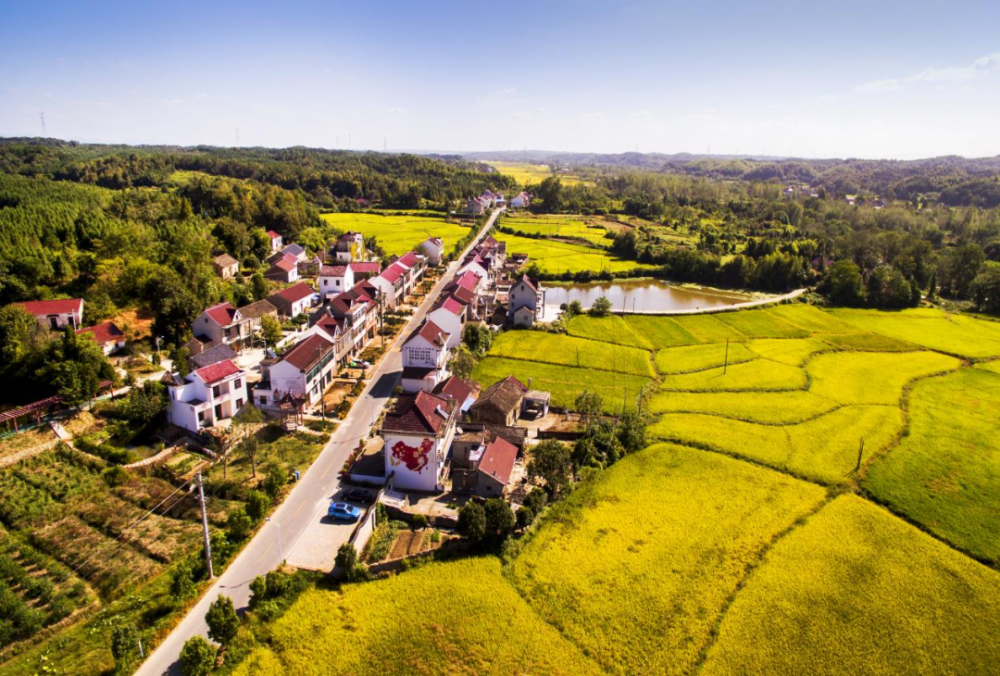 斗志昂阳奋勇争先丨木镇镇聚力新阶段勇担新使命奋进新征程