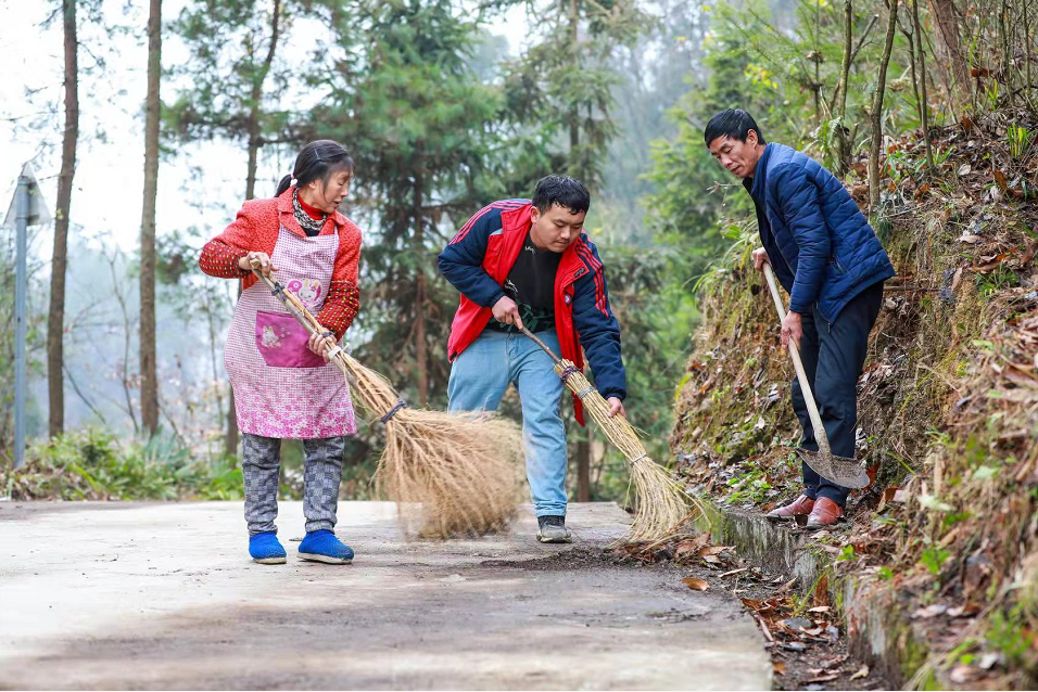 凤凰村村民自发大扫除扮靓村道迎新春