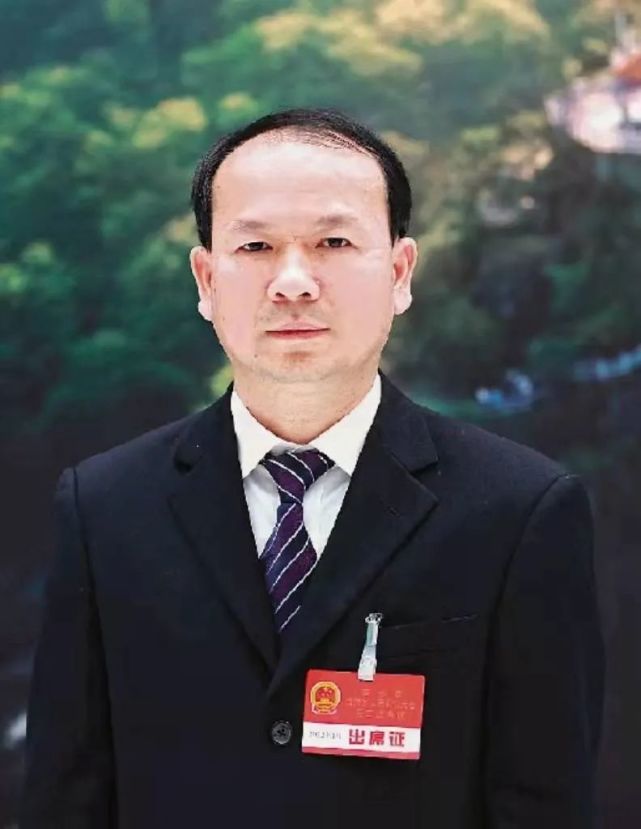 聚焦市两会市人大代表区委书记莫振华打造一城一区一镇一中心推动文旅