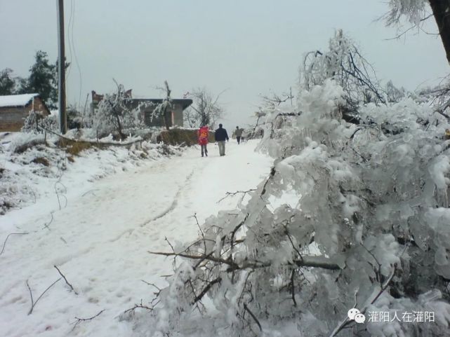 灌陽老照片:2008年冰凍雪災照片