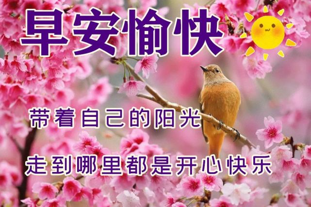 早晨问好早安的唯美句子和图片早上好问候美句动态表情图片