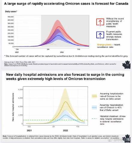 加拿大模型预测本国疫情本月将达到顶峰