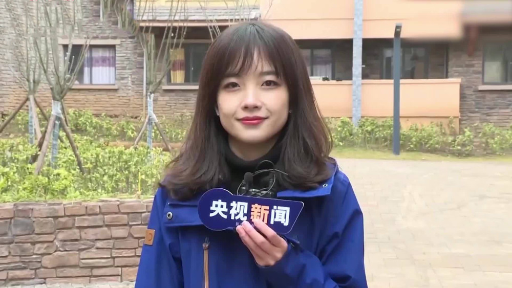 央视主持人王冰冰人设坍塌,四级成绩未过,19岁跟男友同居_腾讯新闻